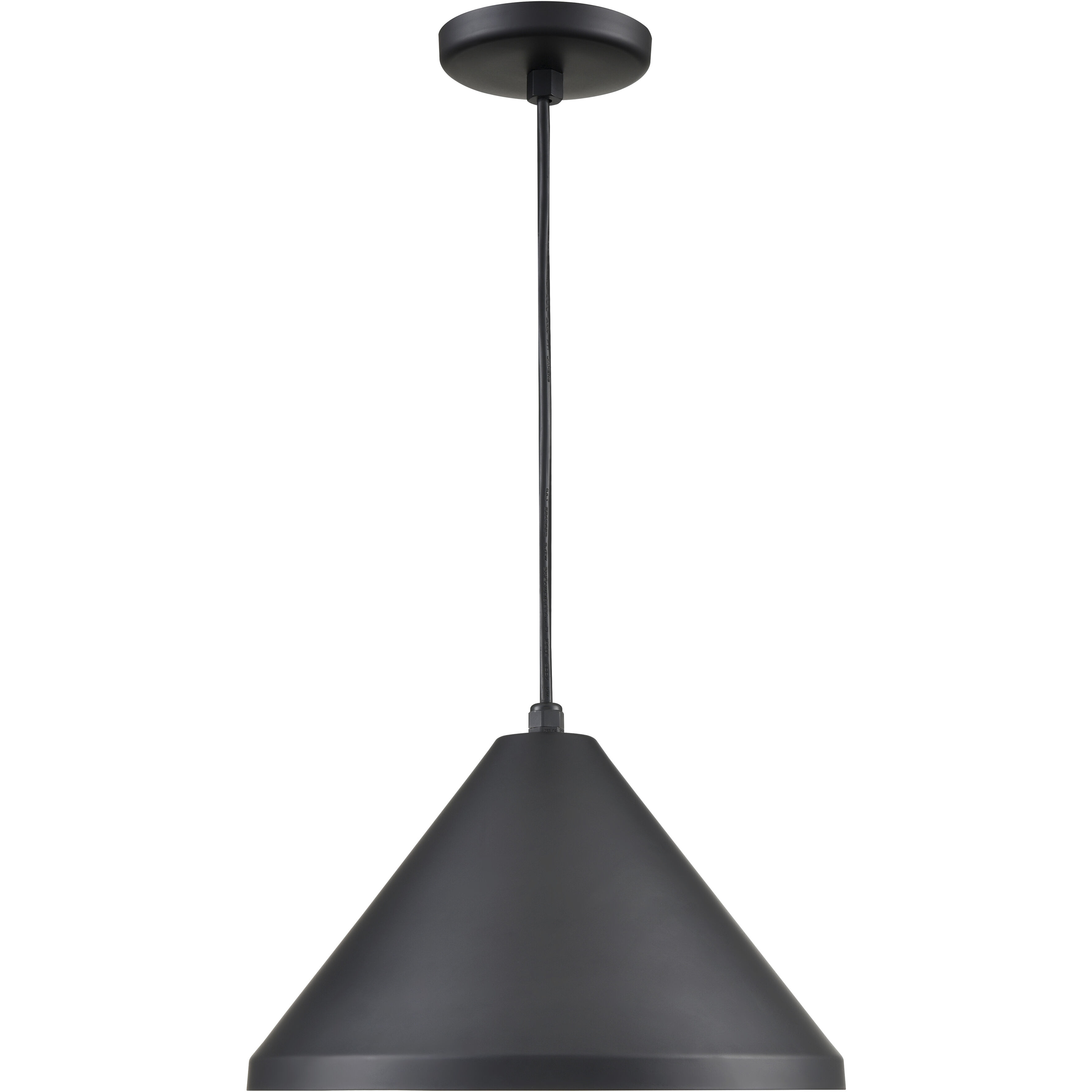 R Series 1 Light 13 inch Satin Black Outdoor Pendant